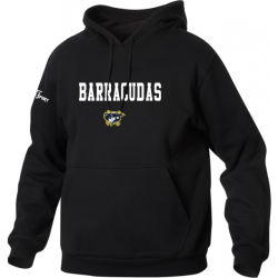 Barracudas Zürich Pullover mit Logo + Blockschrift Kinder