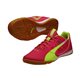 PUMA Evo Speed Sala Futsal Pink Gelb F01