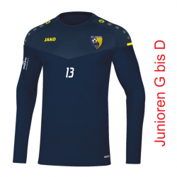FC Uzwil D-G Junioren Jako Sweater
