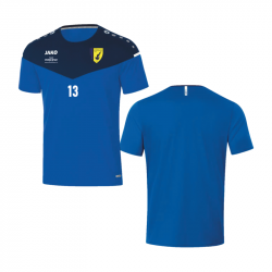 FC Romanshorn Trainingsshirt