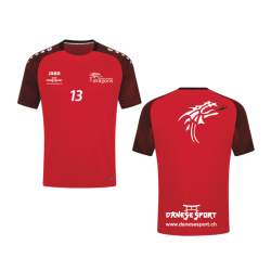 UHC Mörschwil Dragons Trainings Shirt