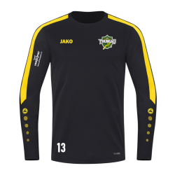 Pro Team Thurgau Sweatshirt