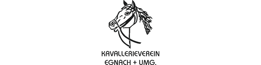Kategorie Kavallerieverein Egnach - Fussball Unihockey Teamsport : Kavallerieverein Egnach - Clique Basic Hoody - Erwachsene , K